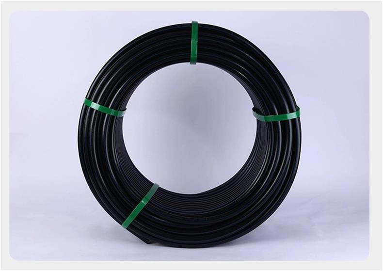 香港六和资料大会