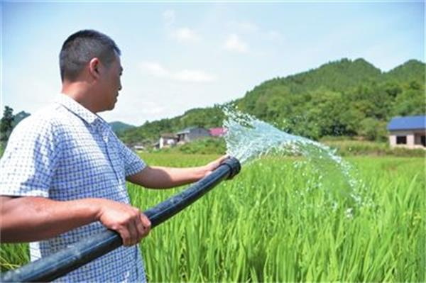 香港六和资料大会